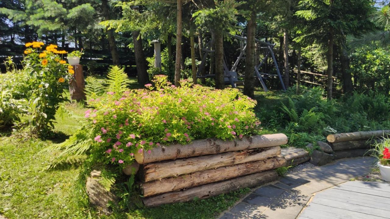 Chata Pietraszyna Koniaków Exteriör bild