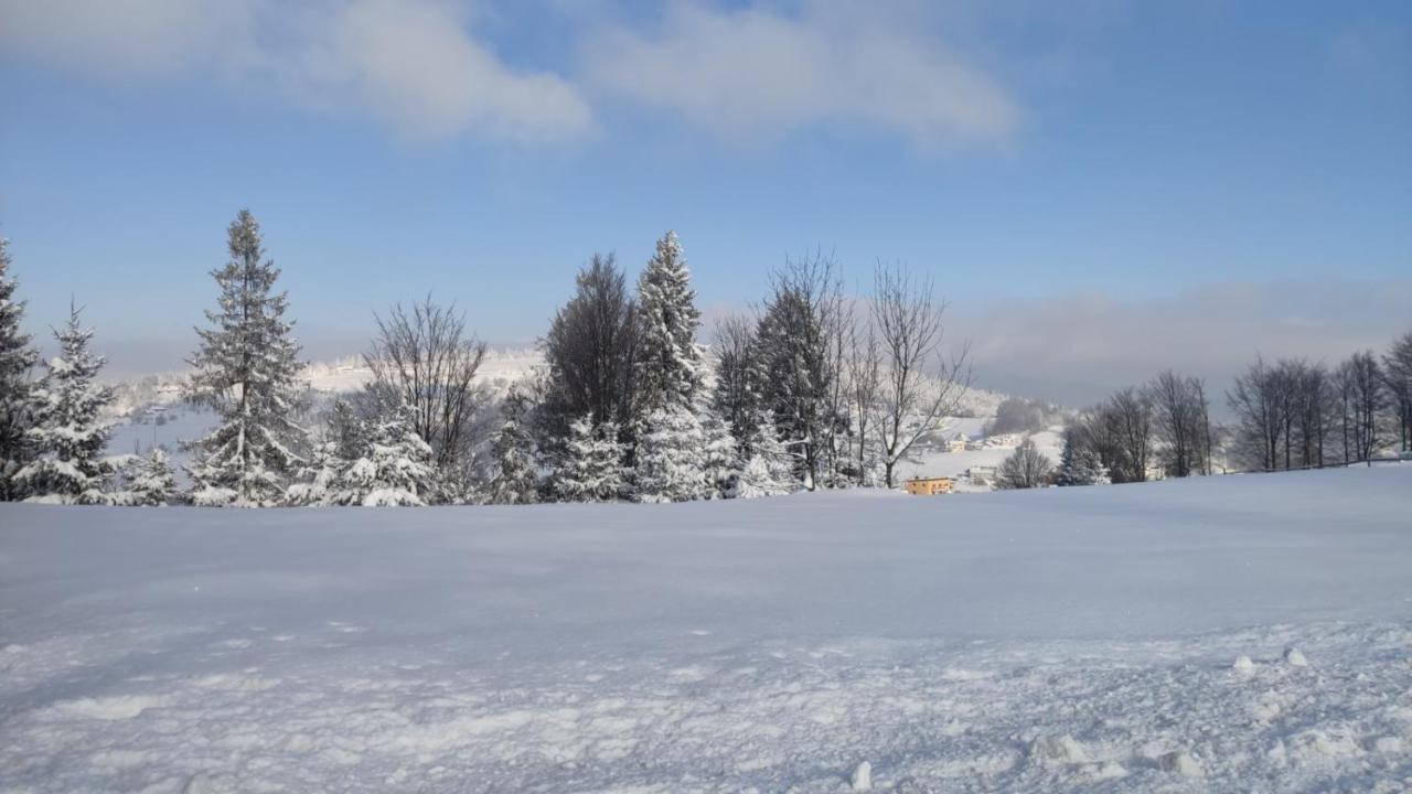 Chata Pietraszyna Koniaków Exteriör bild
