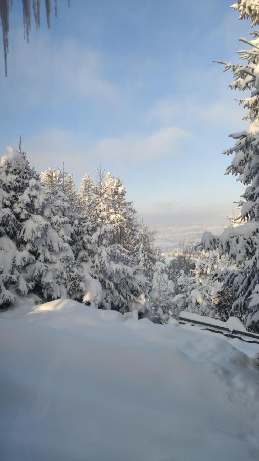 Chata Pietraszyna Koniaków Exteriör bild