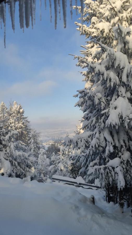 Chata Pietraszyna Koniaków Exteriör bild
