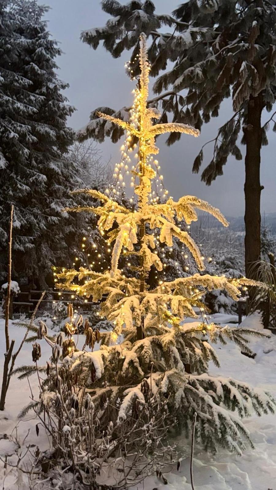 Chata Pietraszyna Koniaków Exteriör bild